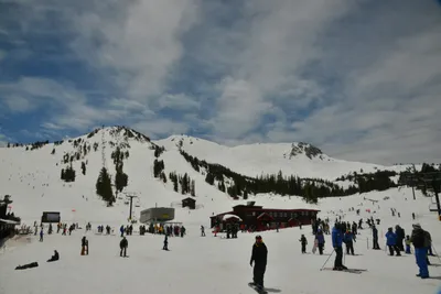 DSC_6667 (Large).JPG